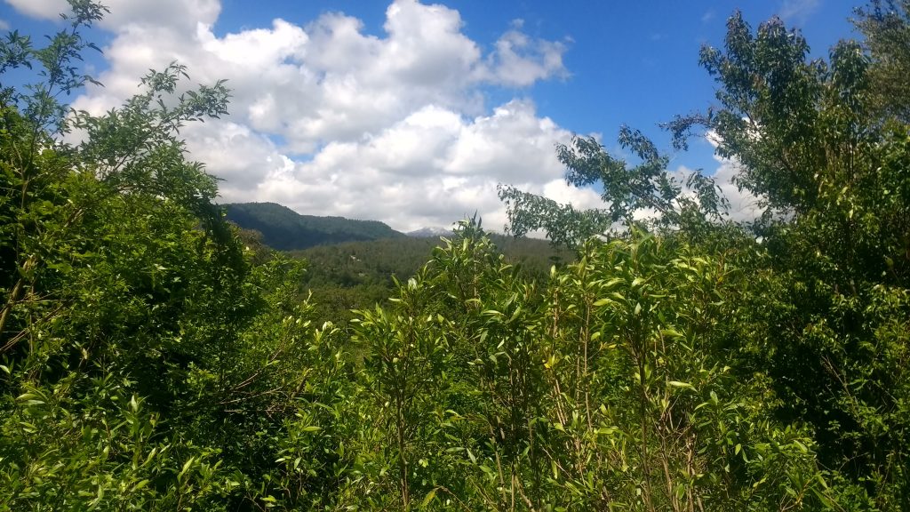 Santuario Naturaleza Achibueno Zona incluida, cómo llegar